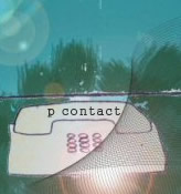 p contact